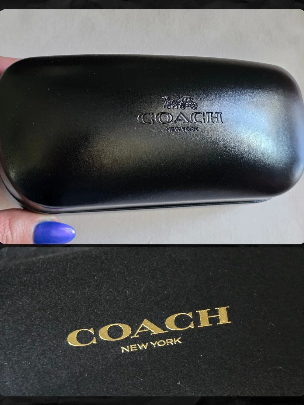 Coach CK483 Tea Rose Butterfly Oversized Square Sunglasses Clear Fawn NWOT
